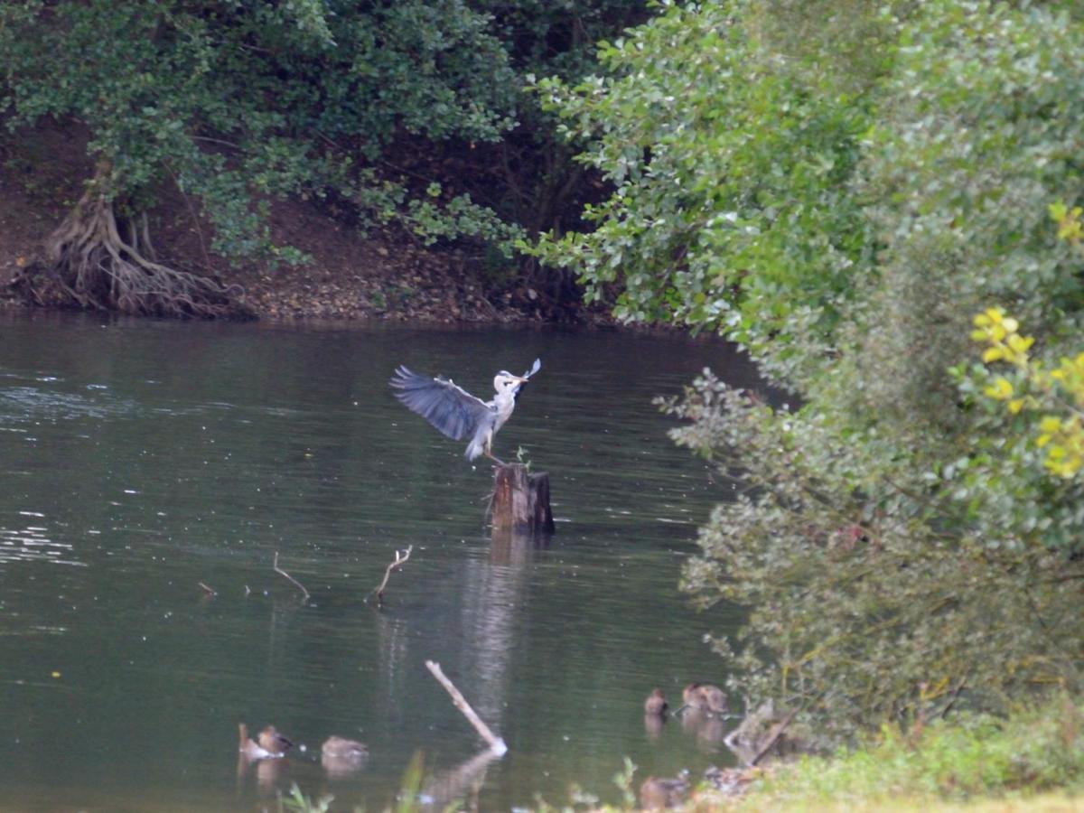 Montigny-sur-Loing La Ravine Au Bord Du Loing 빌라 외부 사진